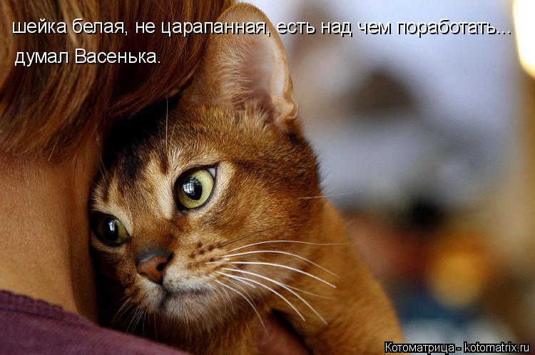 шейка белая, не царапанная, есть над чем поработать... думал Васенька.... Котоматрица: шейка белая, не царапанная, есть над чем поработать... думал Васенька.