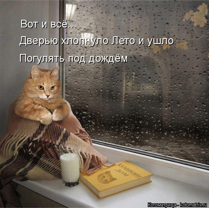 Дверью хлопнуло Лето и ушло Вот и всё... Погулять под дождём... Котоматрица: Дверью хлопнуло Лето и ушло Вот и всё... Погулять под дождём