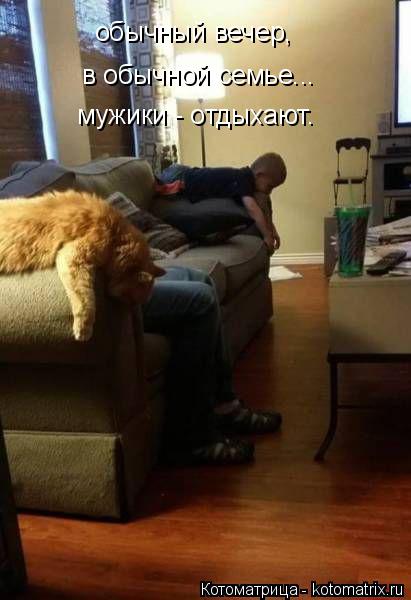 обычный вечер, в обычной семье... мужики - отдыхают.... Котоматрица: обычный вечер, в обычной семье... мужики - отдыхают.