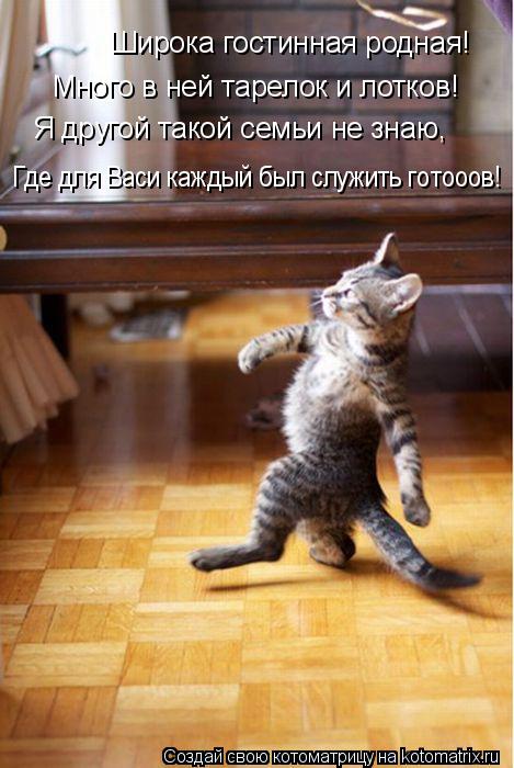 Широка гостинная родная! Много в ней тарелок и лотков! Я другой такой семьи не знаю, Где для Васи каж... Котоматрица: Широка гостинная родная! Много в ней тарелок и лотков! Я другой такой семьи не знаю, Где для Васи каждый был служить готооов!