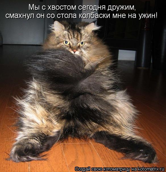 смахнул он со стола колбаски мне на ужин! Мы с хвостом сегодня дружим,... Котоматрица: смахнул он со стола колбаски мне на ужин! Мы с хвостом сегодня дружим,