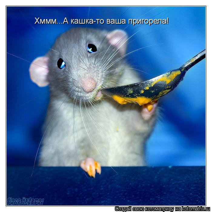 Хммм...А кашка-то ваша пригорела!... Котоматрица: Хммм...А кашка-то ваша пригорела!