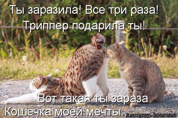 Ты заразила! Все три раза! Триппер подарила ты! Вот такая ты зараза Кошечка моей мечты…... Котоматрица: Ты заразила! Все три раза! Триппер подарила ты! Вот такая ты зараза Кошечка моей мечты…