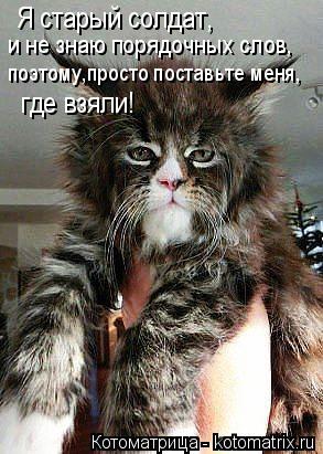 Я старый солдат, и не знаю порядочных слов, поэтому,просто поставьте меня, где взяли!... Котоматрица: Я старый солдат, и не знаю порядочных слов, поэтому,просто поставьте меня, где взяли!