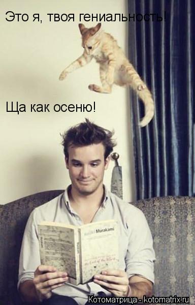 Это я, твоя гениальность! Ща как осеню!... Котоматрица: Это я, твоя гениальность! Ща как осеню!