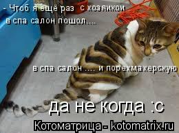 - Чтоб я ещё раз с хозяикои в спа салон пошол.... в спа салон .... и порехмахерскую да некогда да н... Котоматрица: - Чтоб я ещё раз с хозяикои в спа салон пошол.... в спа салон .... и порехмахерскую да некогда да не когда :с