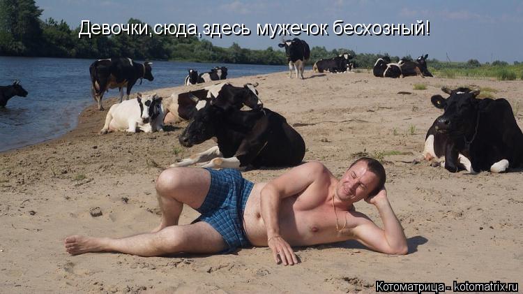 Девочки,сюда,здесь мужечок бесхозный!... Котоматрица: Девочки,сюда,здесь мужечок бесхозный!