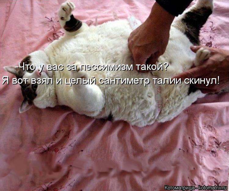 -Что у вас за пессимизм такой? Я вот взял и целый сантиметр талии скинул!... Котоматрица: -Что у вас за пессимизм такой? Я вот взял и целый сантиметр талии скинул!