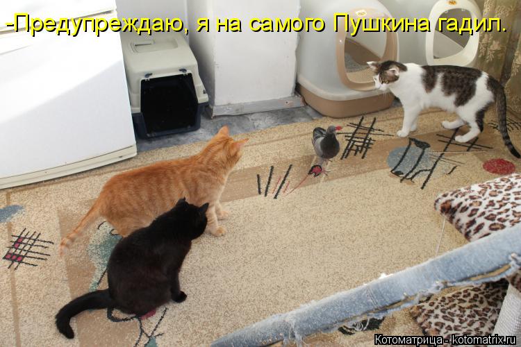 -Предупреждаю, я на самого Пушкина гадил.... Котоматрица: -Предупреждаю, я на самого Пушкина гадил.