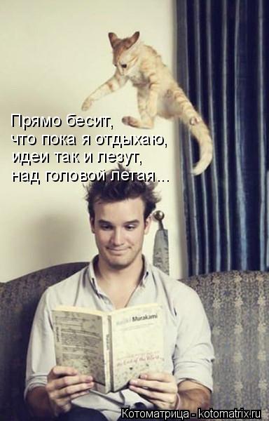 Прямо бесит, что пока я отдыхаю, идеи так и лезут, над головой летая...... Котоматрица: Прямо бесит, что пока я отдыхаю, идеи так и лезут, над головой летая...