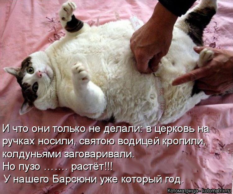 И что они только не делали: в церковь на ручках носили, святою водицей кропили, колдуньями заговарива... Котоматрица: И что они только не делали: в церковь на ручках носили, святою водицей кропили, колдуньями заговаривали. Но пузо ……. растёт!!! У нашего Барсю