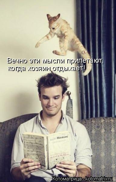 Вечно эти мысли прилетают, когда хозяин отдыхает!... Котоматрица: Вечно эти мысли прилетают, когда хозяин отдыхает!