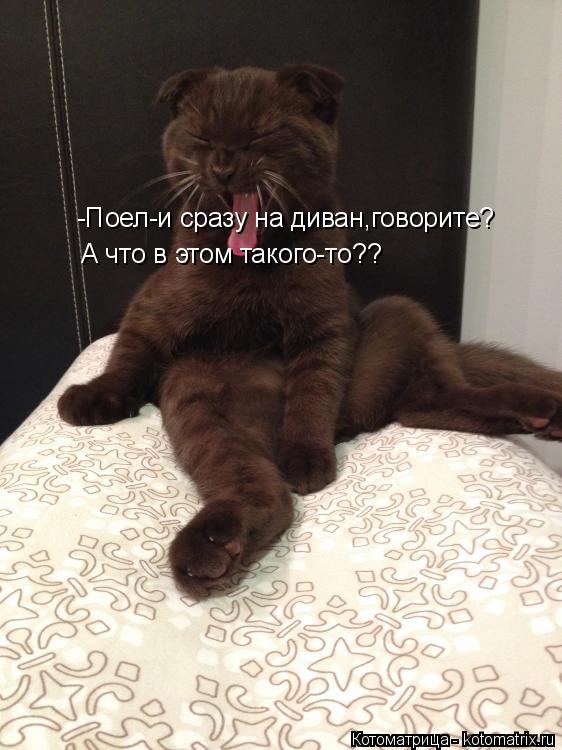 -Поел-и сразу на диван,говорите? А что в этом такого-то??... Котоматрица: -Поел-и сразу на диван,говорите? А что в этом такого-то??