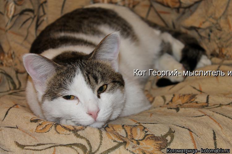 Кот Георгий- мыслитель и философ... Котоматрица: Кот Георгий- мыслитель и философ