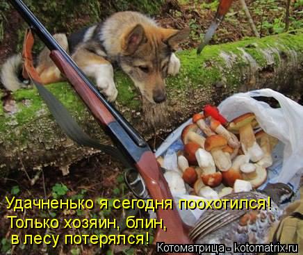 в лесу потерялся! Только хозяин, блин, Удачненько я сегодня поохотился!... Котоматрица: в лесу потерялся! Только хозяин, блин, Удачненько я сегодня поохотился!