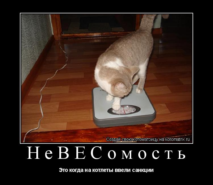 НеВЕСомость Это когда на котлеты ввели санкции... Котоматрица: НеВЕСомость Это когда на котлеты ввели санкции