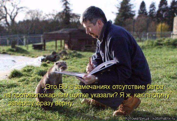 - Это Вы в замечаниях отсутствие багра на противопожарным щитке указали? Я ж, как плотину завершу, ср... Котоматрица: - Это Вы в замечаниях отсутствие багра на противопожарным щитке указали? Я ж, как плотину завершу, сразу верну…
