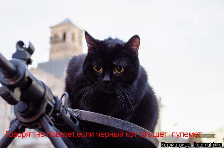 Говорят не повезет,если черный кот отыщет пулемет... Котоматрица: Говорят не повезет,если черный кот отыщет пулемет