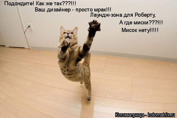 Подождите! Как же так???!!! Ваш дизайнер - просто мрак!!! Лаундж-зона для Роберту, А где миски???!!!... Котоматрица: Подождите! Как же так???!!! Ваш дизайнер - просто мрак!!! Лаундж-зона для Роберту, А где миски???!!! Мисок нету!!!!!