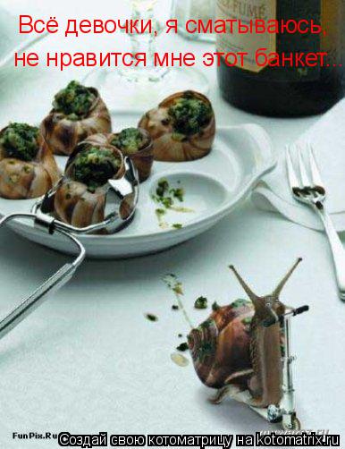 Всё девочки, я сматываюсь, не нравится мне этот банкет...... Котоматрица: Всё девочки, я сматываюсь, не нравится мне этот банкет...