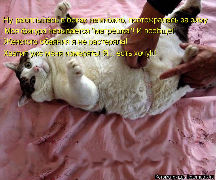 Ну, расплылась в боках немножко, поотожралась за зиму. Моя фигура называется "матрёшка"! И вообще! Ж... Котоматрица: Ну, расплылась в боках немножко, поотожралась за зиму. Моя фигура называется "матрёшка"! И вообще! Женского обаяния я не растеряла! Хватит уж