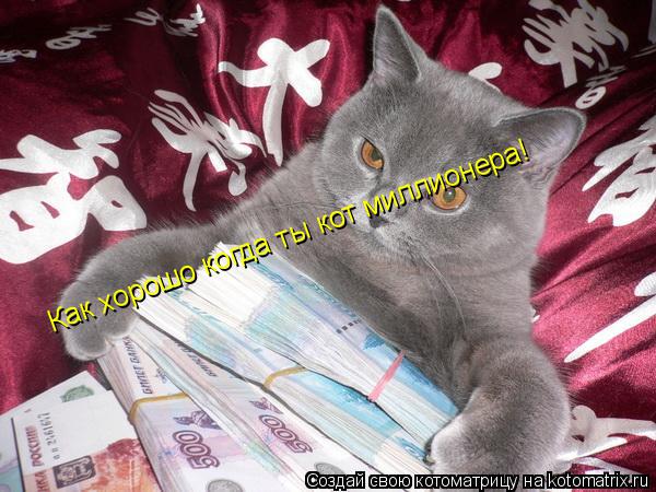 Как хорошо когда ты кот миллионера!... Котоматрица: Как хорошо когда ты кот миллионера!