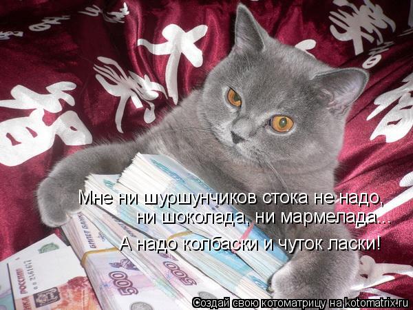 Мне ни шуршунчиков стока не надо, ни шоколада, ни мармелада... А надо колбаски и чуток ласки!... Котоматрица: Мне ни шуршунчиков стока не надо, ни шоколада, ни мармелада... А надо колбаски и чуток ласки!