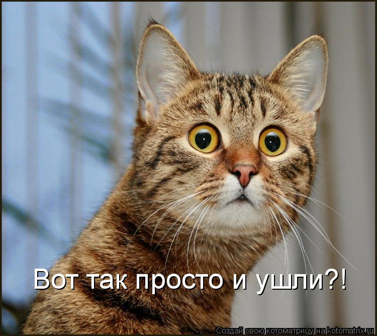 Вот так просто и ушли?!... Котоматрица: Вот так просто и ушли?!