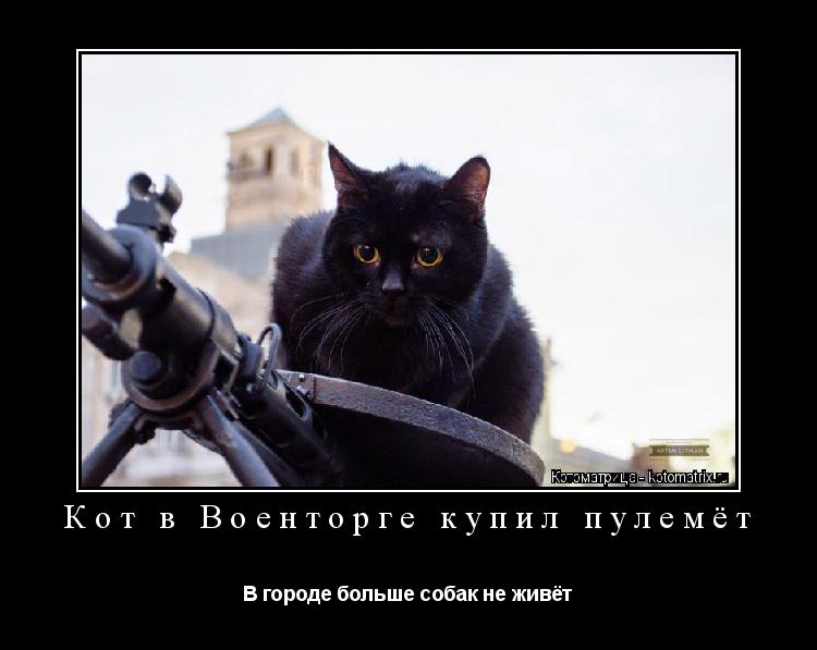 Кот в Военторге купил пулемёт В городе больше собак не живёт... Котоматрица: Кот в Военторге купил пулемёт В городе больше собак не живёт
