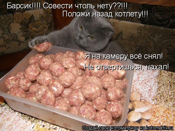 Барсик!!!! Совести чтоль нету??!!! Положи назад котлету!!! Я на камеру всё снял! Не отвертишься, наха... Котоматрица: Барсик!!!! Совести чтоль нету??!!! Положи назад котлету!!! Я на камеру всё снял! Не отвертишься, нахал!