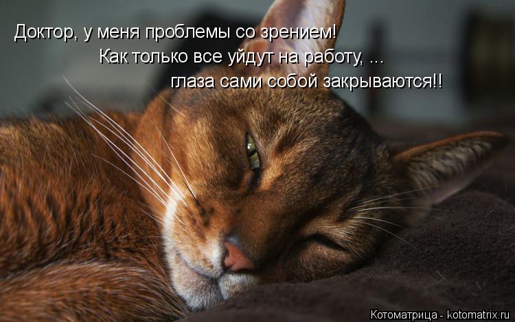 Доктор, у меня проблемы со зрением! Как только все уйдут на работу, ... глаза сами собой закрываются!... Котоматрица: Доктор, у меня проблемы со зрением! Как только все уйдут на работу, ... глаза сами собой закрываются!!