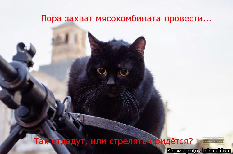 Пора захват мясокомбината провести... Так отдадут, или стрелять придётся?... Котоматрица: Пора захват мясокомбината провести... Так отдадут, или стрелять придётся?