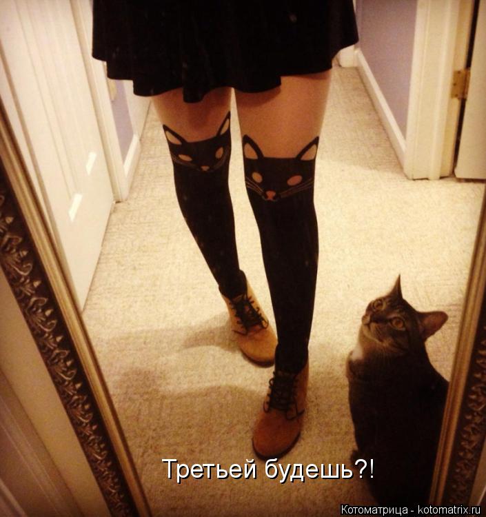 Третьей будешь?!... Котоматрица: Третьей будешь?!