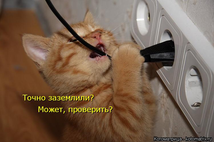 Точно заземлили? Может, проверить?... Котоматрица: Точно заземлили? Может, проверить?