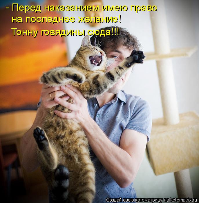 - Перед наказанием имею право на последнее желание! Тонну говядины сюда!!!... Котоматрица: - Перед наказанием имею право на последнее желание! Тонну говядины сюда!!!