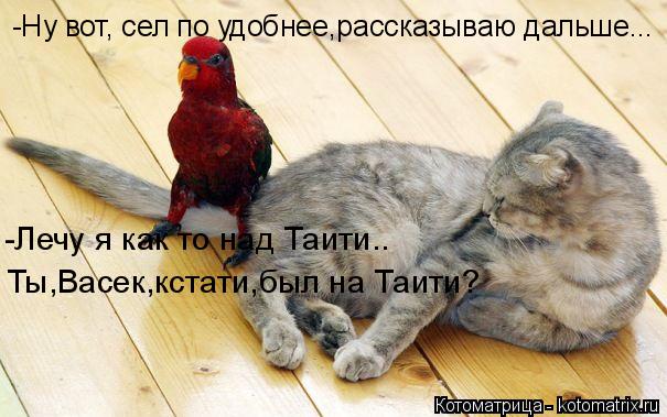 -Ну вот, сел по удобнее,рассказываю дальше... -Лечу я как то над Таити.. Ты,Васек,кстати,был на Таит... Котоматрица: -Ну вот, сел по удобнее,рассказываю дальше... -Лечу я как то над Таити.. Ты,Васек,кстати,был на Таити?