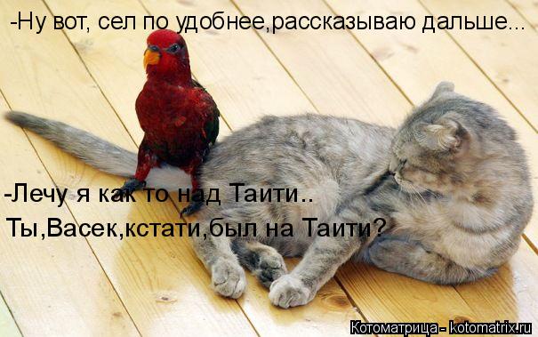 Котоматрица: -Ну вот, сел по удобнее,рассказываю дальше... -Лечу я как то над Таити..  Ты,Васек,кстати,был на Таити?