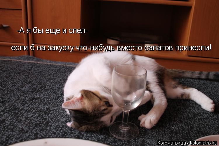 -А я бы еще и спел- если б на закуску что-нибудь вместо салатов принесли!... Котоматрица: -А я бы еще и спел- если б на закуску что-нибудь вместо салатов принесли!