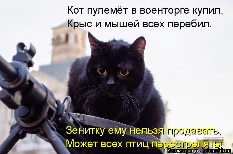 Кот пулемёт в военторге купил, Крыс и мышей всех перебил. Зенитку ему нельзя продавать, Может всех пт... Котоматрица: Кот пулемёт в военторге купил, Крыс и мышей всех перебил. Зенитку ему нельзя продавать, Может всех птиц перестрелять!