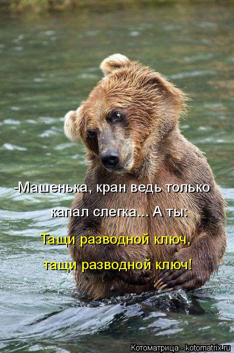 -Машенька, кран ведь только капал слегка... А ты: Тащи разводной ключ, тащи разводной ключ!... Котоматрица: -Машенька, кран ведь только капал слегка... А ты: Тащи разводной ключ, тащи разводной ключ!