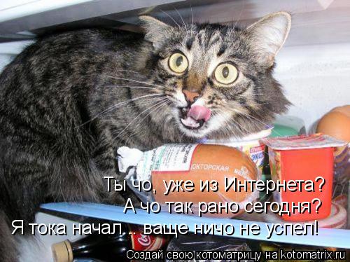 Ты чо, уже из Интернета? А чо так рано сегодня? Я тока начал... ваще ничо не успел!... Котоматрица: Ты чо, уже из Интернета? А чо так рано сегодня? Я тока начал... ваще ничо не успел!