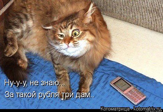 Ну-у-у, не знаю... За такой рубля три дам..... Котоматрица: Ну-у-у, не знаю... За такой рубля три дам..