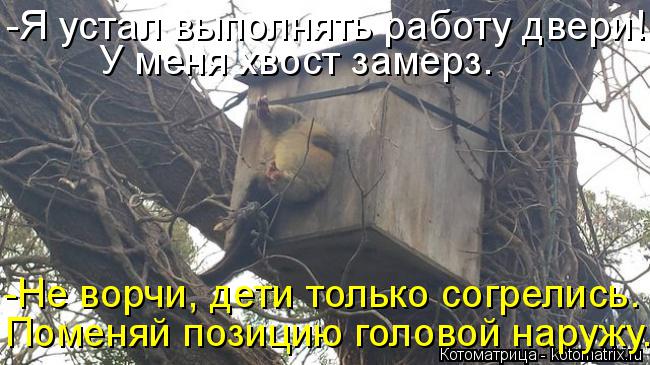 -Я устал выполнять работу двери! У меня хвост замерз. -Не ворчи, дети только согрелись. Поменяй позиц... Котоматрица: -Я устал выполнять работу двери! У меня хвост замерз. -Не ворчи, дети только согрелись. Поменяй позицию головой наружу.