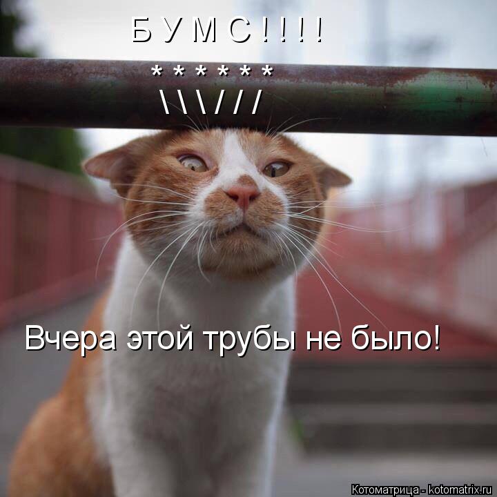 Б У М С ! ! ! ! * * * * * * \ \ \ / / / Вчера этой трубы не было!... Котоматрица: Б У М С ! ! ! ! * * * * * * \ \ \ / / / Вчера этой трубы не было!