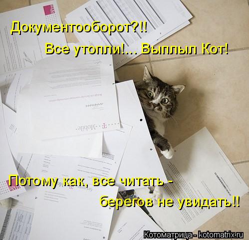 Документооборот?!! Все утопли!... Выплыл Кот! Потому как, все читать - берегов не увидать!!... Котоматрица: Документооборот?!! Все утопли!... Выплыл Кот! Потому как, все читать - берегов не увидать!!