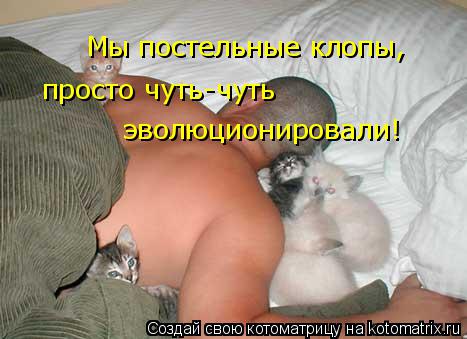 Мы постельные клопы, просто чуть-чуть эволюционировали!... Котоматрица: Мы постельные клопы, просто чуть-чуть эволюционировали!