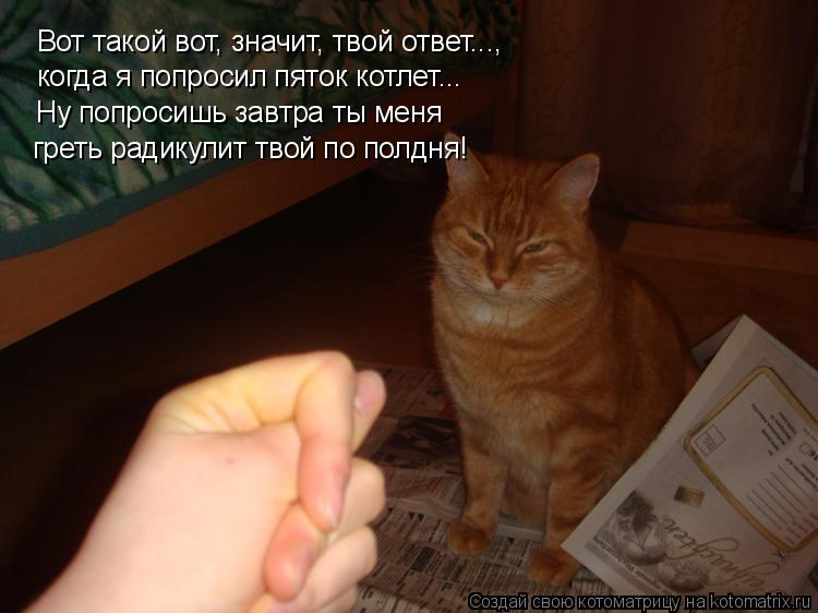 Вот такой вот, значит, твой ответ..., когда я попросил пяток котлет... Ну попросишь завтра ты меня гр... Котоматрица: Вот такой вот, значит, твой ответ..., когда я попросил пяток котлет... Ну попросишь завтра ты меня греть радикулит твой по полдня!