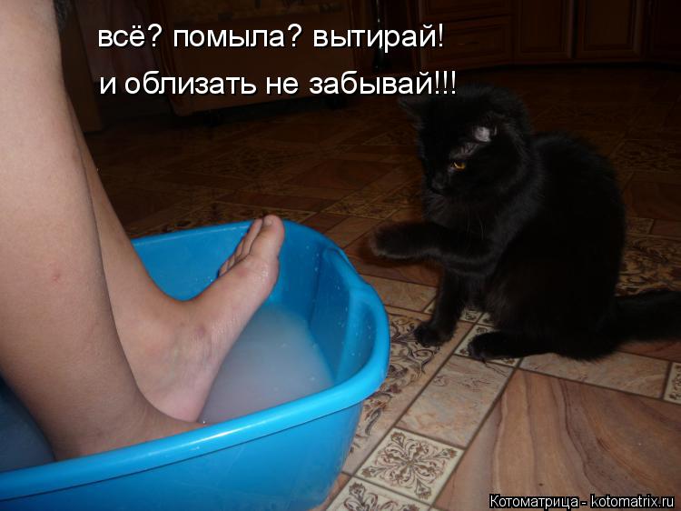 всё? помыла? вытирай! и облизать не забывай!!!... Котоматрица: всё? помыла? вытирай! и облизать не забывай!!!