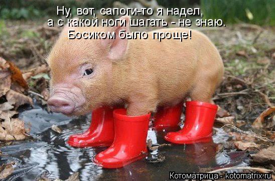 Ну, вот, сапоги-то я надел, а с какой ноги шагать - не знаю. Босиком было проще!... Котоматрица: Ну, вот, сапоги-то я надел, а с какой ноги шагать - не знаю. Босиком было проще!