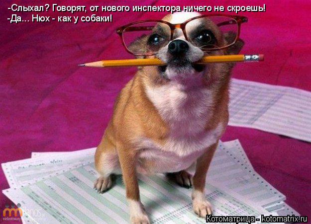 -Да... Нюх - как у собаки! -Слыхал? Говорят, от нового инспектора ничего не скроешь!... Котоматрица: -Да... Нюх - как у собаки! -Слыхал? Говорят, от нового инспектора ничего не скроешь!
